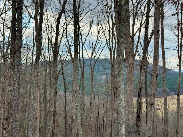 Winding Ridge Rd #90, BLAIRSVILLE, Georgia image 18