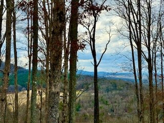 Winding Ridge Rd #90, BLAIRSVILLE, Georgia image 14