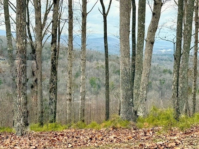 Winding Ridge Rd #90, BLAIRSVILLE, Georgia image 12