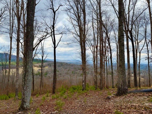Winding Ridge Rd #90, BLAIRSVILLE, Georgia image 15