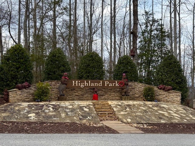 Winding Ridge Rd #90, BLAIRSVILLE, Georgia image 6