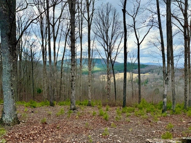 Winding Ridge Rd #90, BLAIRSVILLE, Georgia image 16