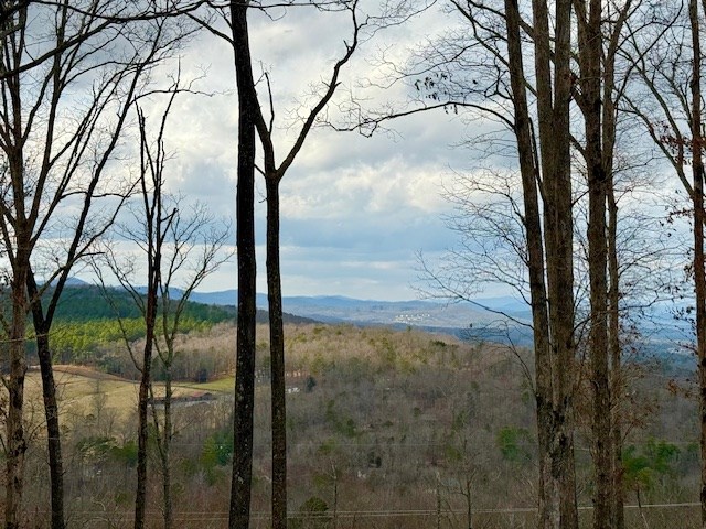 Winding Ridge Rd #90, BLAIRSVILLE, Georgia image 3