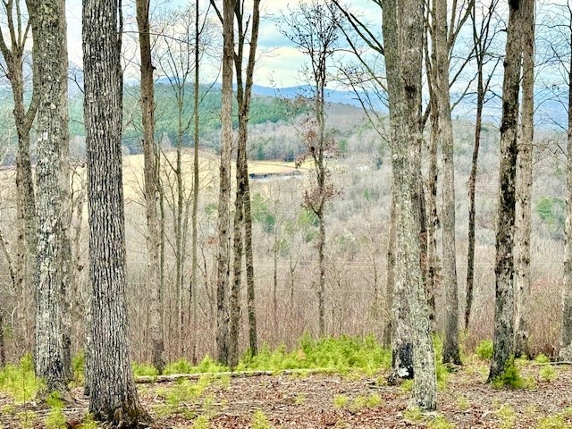 Winding Ridge Rd #90, BLAIRSVILLE, Georgia image 10