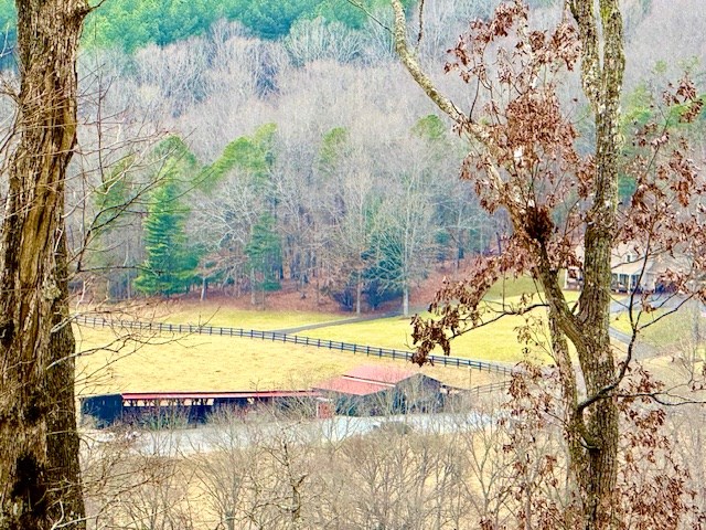 Winding Ridge Rd #90, BLAIRSVILLE, Georgia image 11