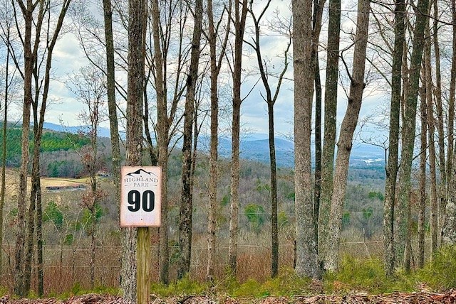 Winding Ridge Rd #90, BLAIRSVILLE, Georgia image 4