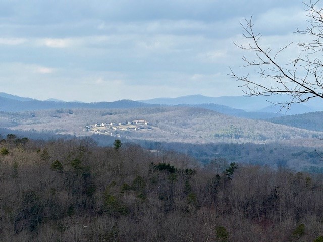 Winding Ridge Rd #90, BLAIRSVILLE, Georgia image 20