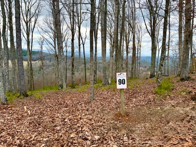 Winding Ridge Rd #90, BLAIRSVILLE, Georgia image 8