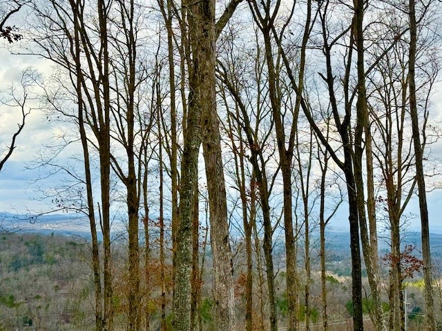 Winding Ridge Rd #90, BLAIRSVILLE, Georgia image 19