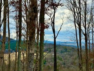 Winding Ridge Rd #90, BLAIRSVILLE, Georgia image 17