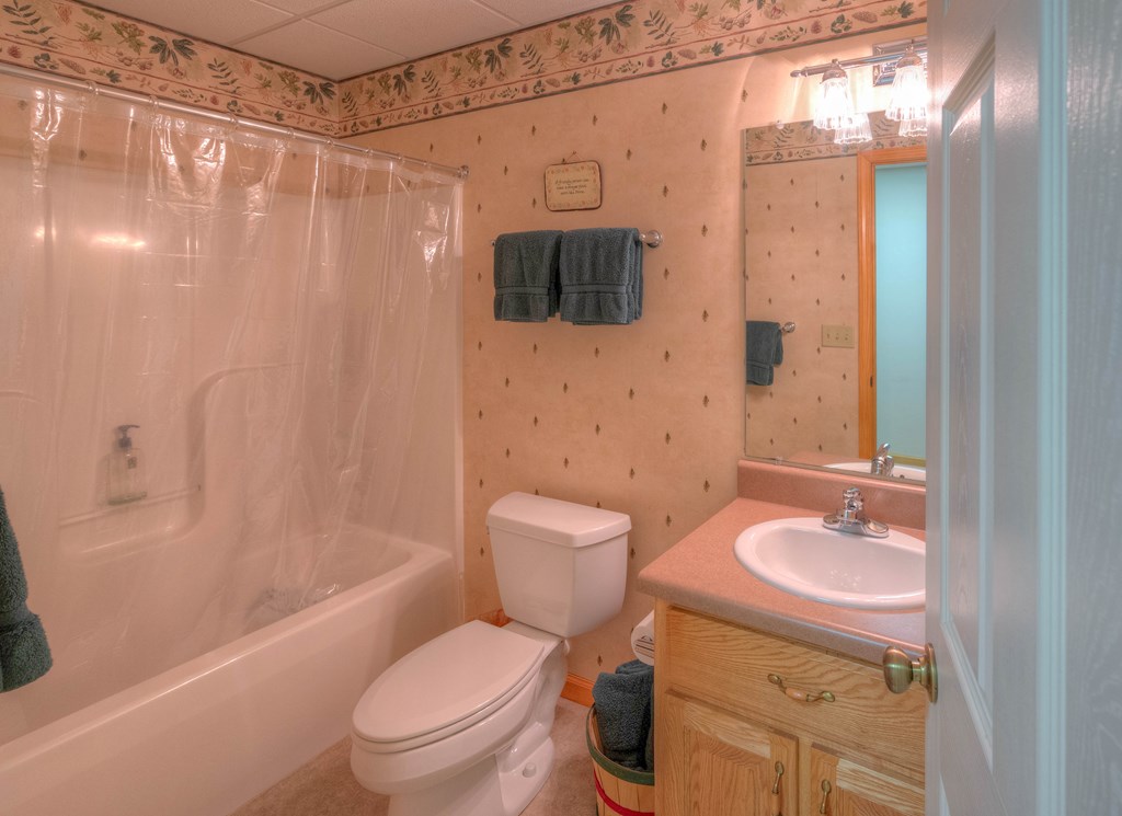 249 Grant Drive, BRASSTOWN, North Carolina image 40