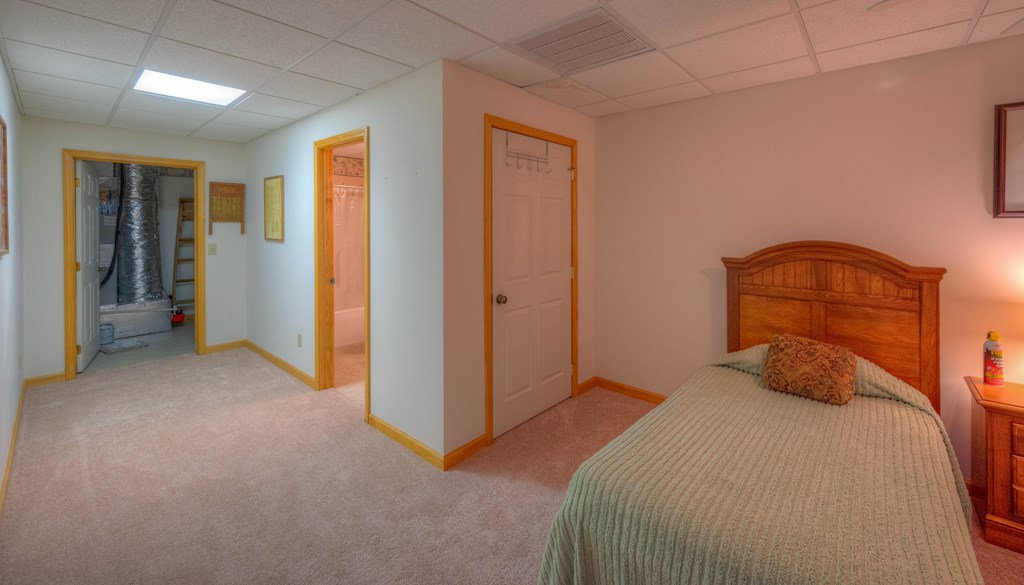 249 Grant Drive, BRASSTOWN, North Carolina image 38