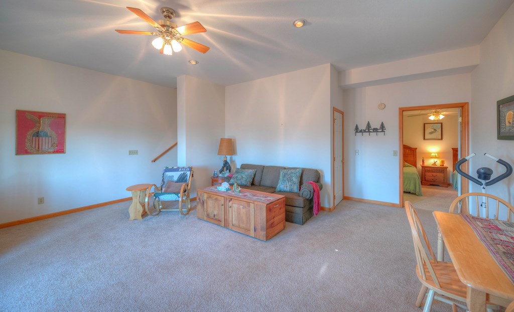 249 Grant Drive, BRASSTOWN, North Carolina image 34
