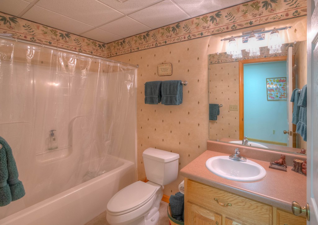 249 Grant Drive, BRASSTOWN, North Carolina image 41