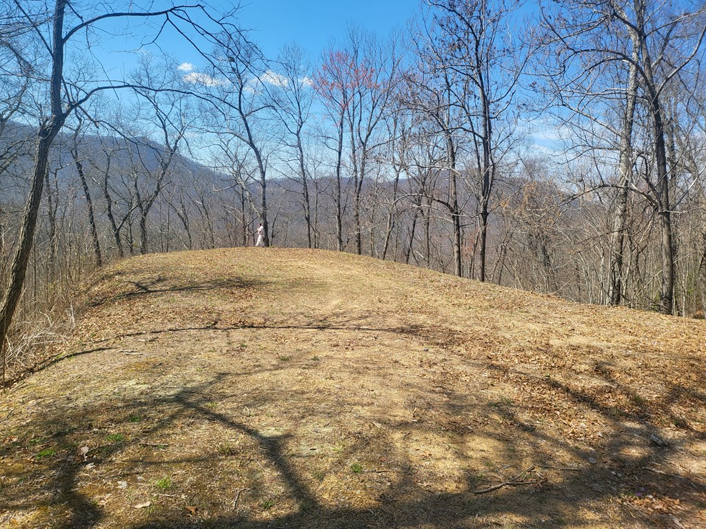 SR 1229 Dry Creek #7-B, ROBBINSVILLE, North Carolina image 6