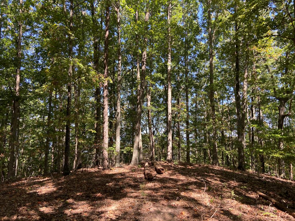 Lot 54 Somerset Ridge Drive #54, MURPHY, North Carolina image 17