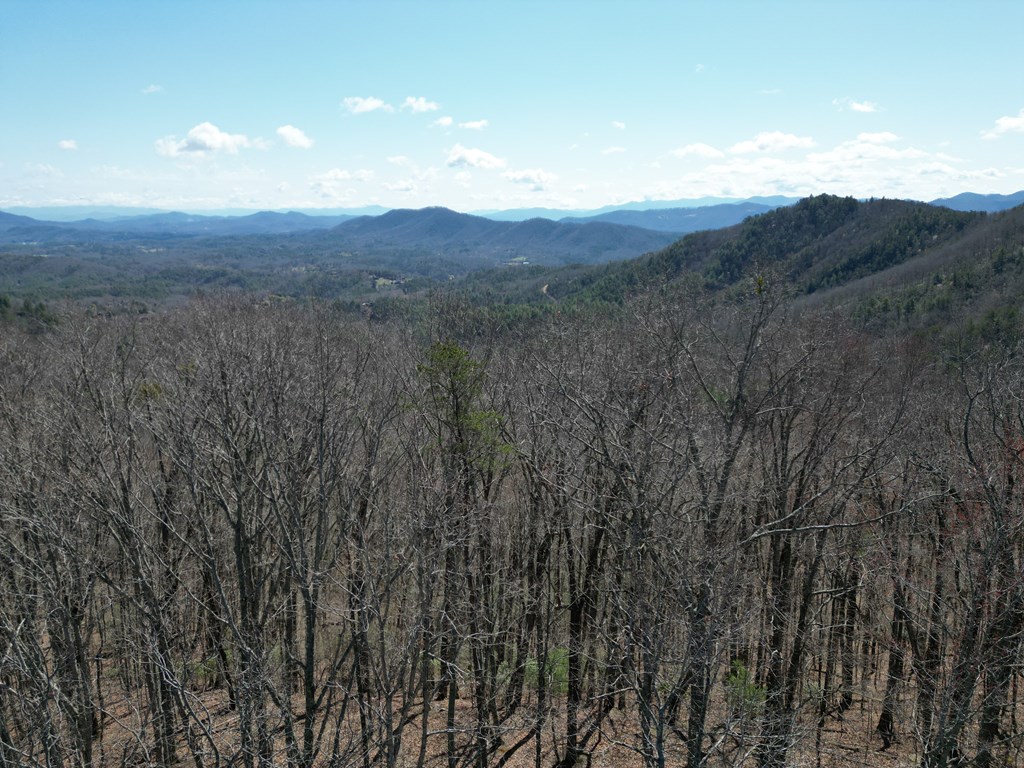 Lot 54 Somerset Ridge Drive #54, MURPHY, North Carolina image 10