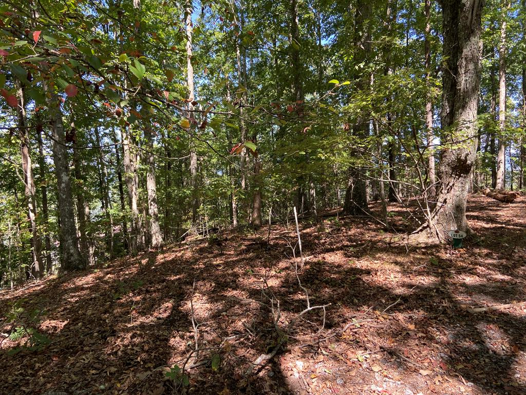 Lot 54 Somerset Ridge Drive #54, MURPHY, North Carolina image 14