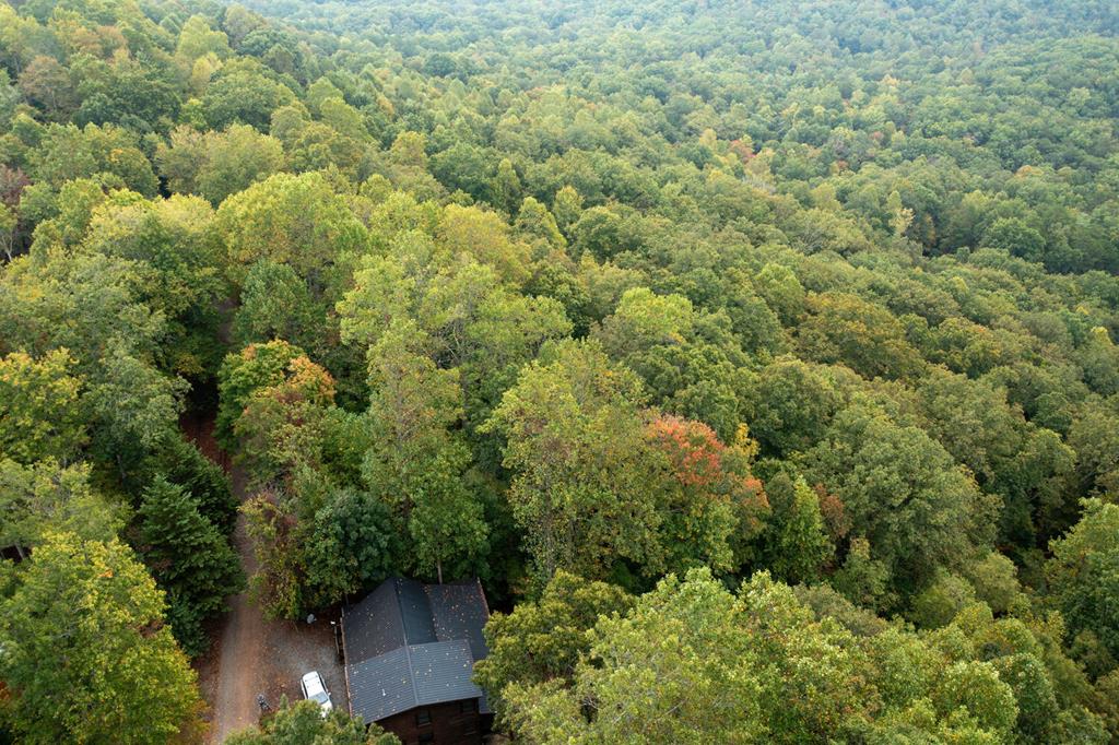 Mountain Top Drive #23/24, MURPHY, North Carolina image 15