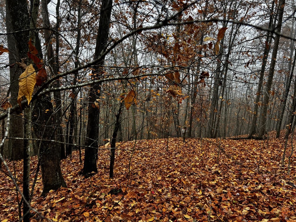 Mountain Top Drive #23/24, MURPHY, North Carolina image 4