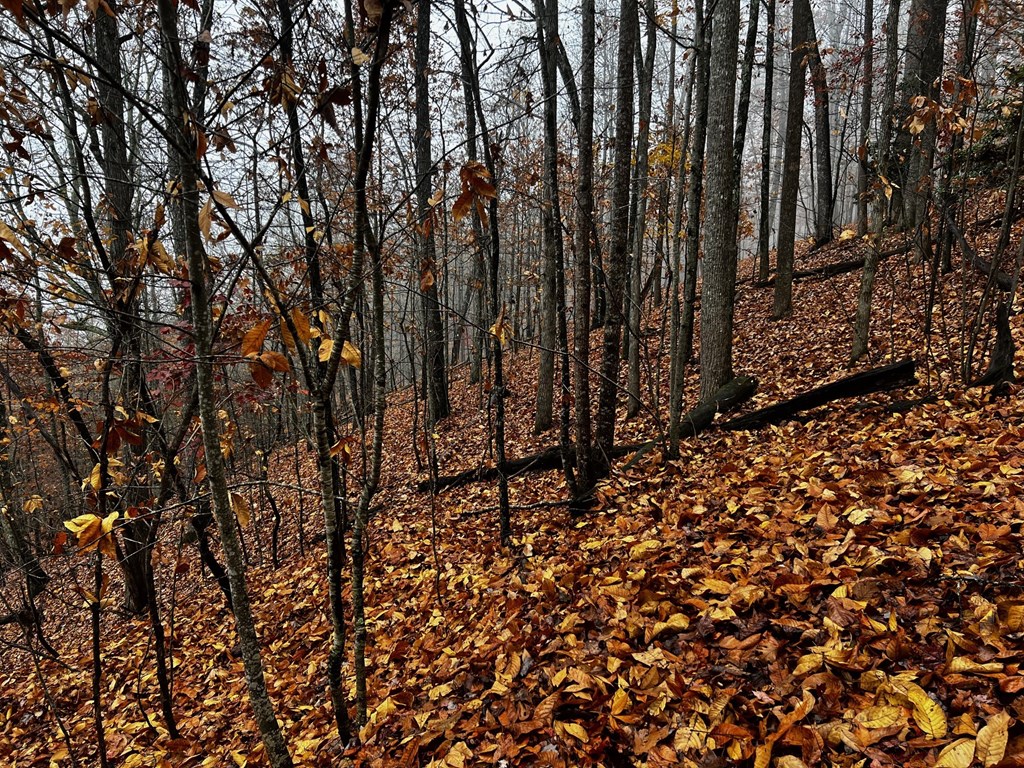 Mountain Top Drive #23/24, MURPHY, North Carolina image 6