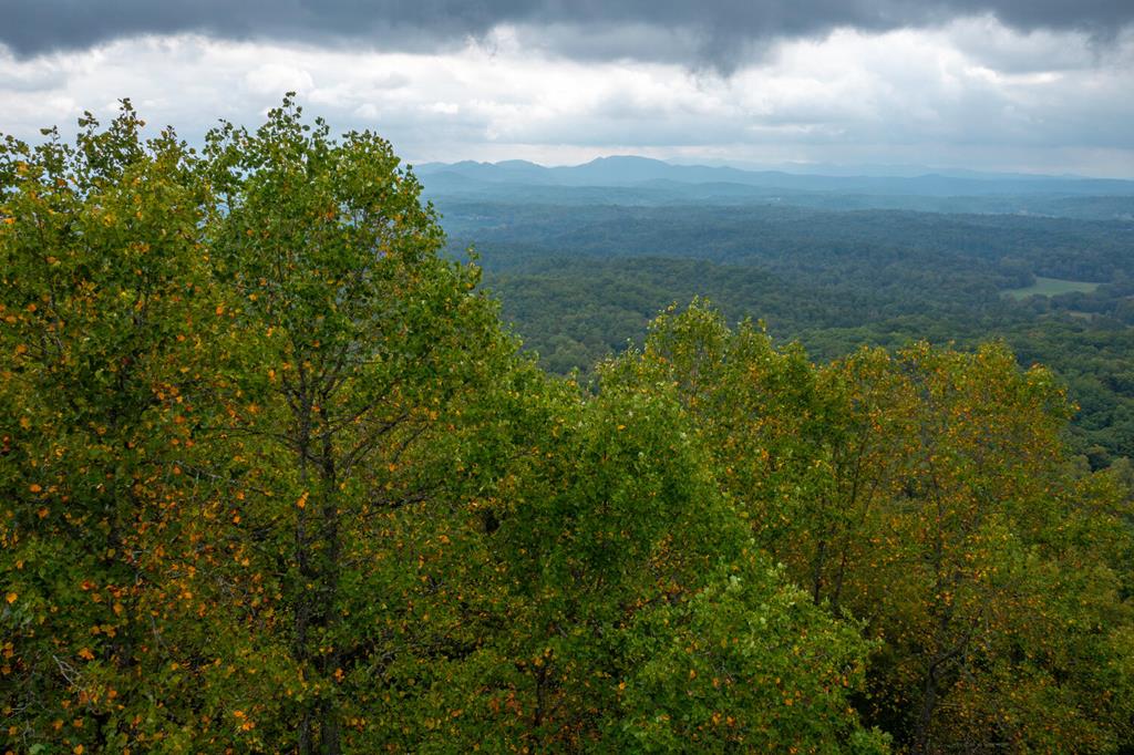 Mountain Top Drive #23/24, MURPHY, North Carolina image 13