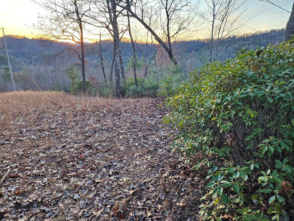 Lot #22 Tyler Ridge #22, MURPHY, North Carolina image 11