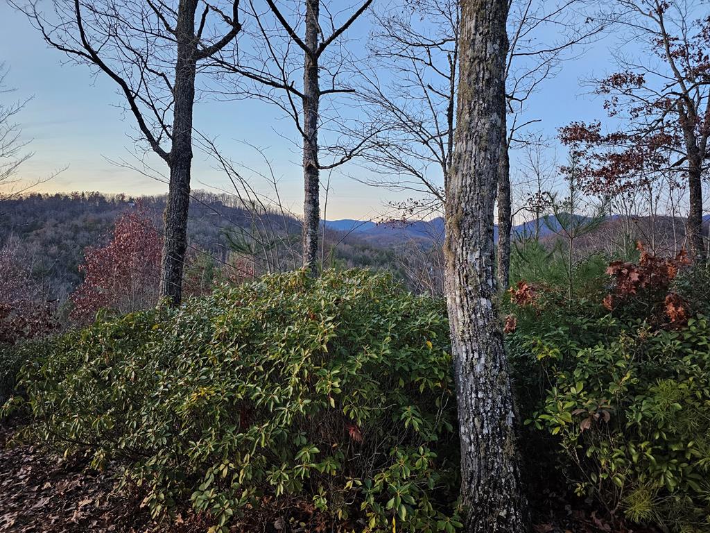 Lot #22 Tyler Ridge #22, MURPHY, North Carolina image 12