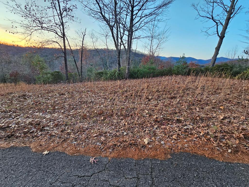 Lot #22 Tyler Ridge #22, MURPHY, North Carolina image 14