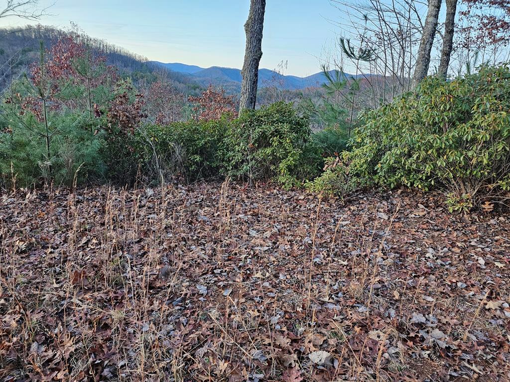 Lot #22 Tyler Ridge #22, MURPHY, North Carolina image 13