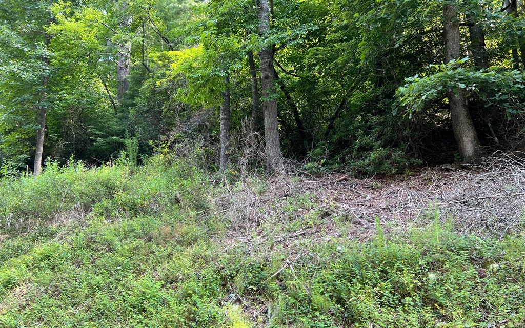 Tr 1 Fires Creek Cove #TR 1, HAYESVILLE, North Carolina image 17