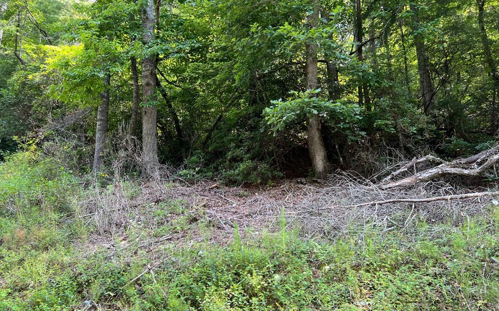 Tr 1 Fires Creek Cove #TR 1, HAYESVILLE, North Carolina image 1