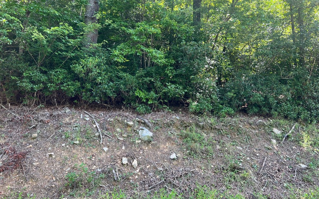 Tr 1 Fires Creek Cove #TR 1, HAYESVILLE, North Carolina image 22