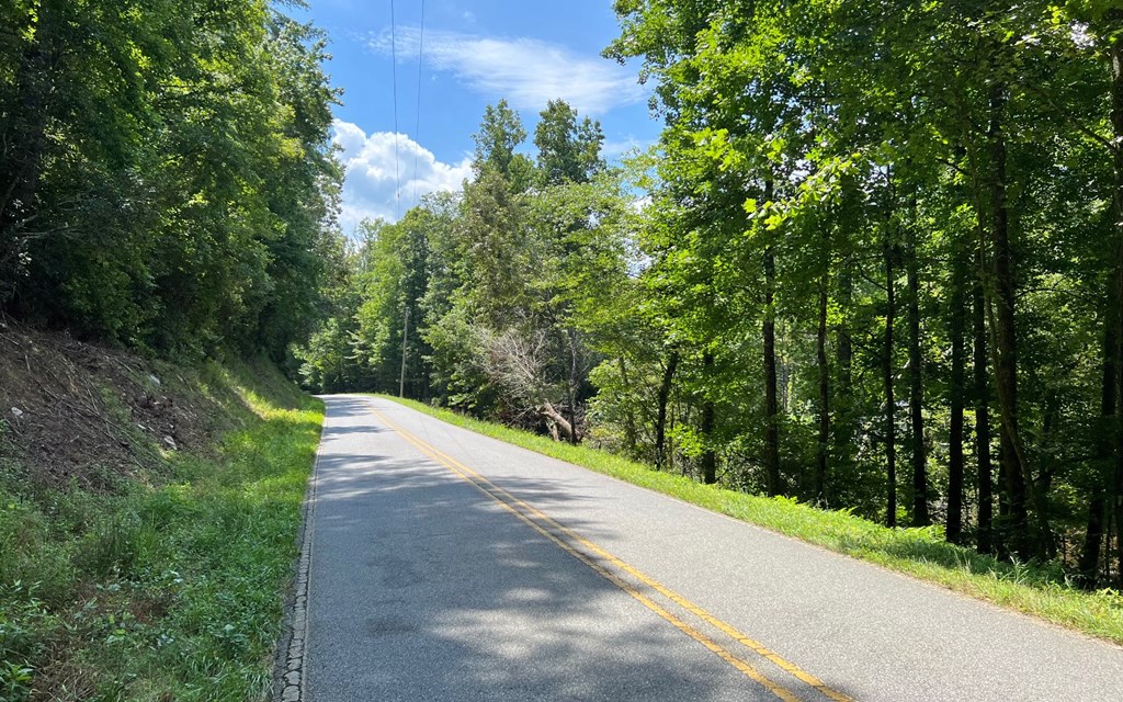 Tr 1 Fires Creek Cove #TR 1, HAYESVILLE, North Carolina image 11
