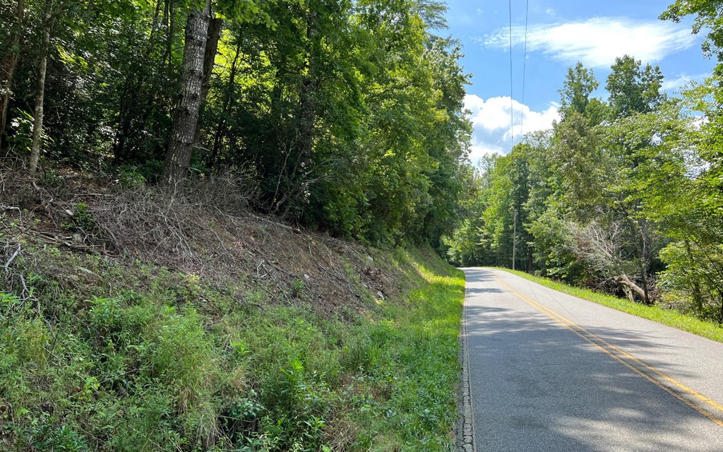 Tr 1 Fires Creek Cove #TR 1, HAYESVILLE, North Carolina image 12