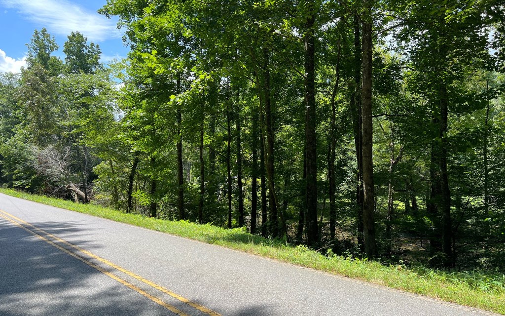 Tr 1 Fires Creek Cove #TR 1, HAYESVILLE, North Carolina image 10