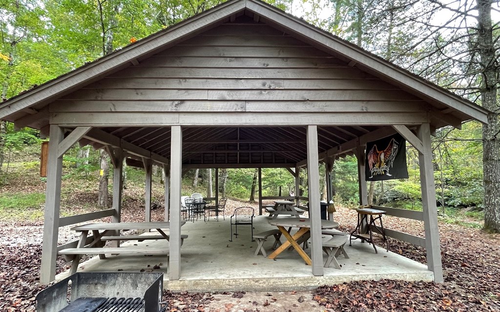 Tr 1 Fires Creek Cove #TR 1, HAYESVILLE, North Carolina image 6