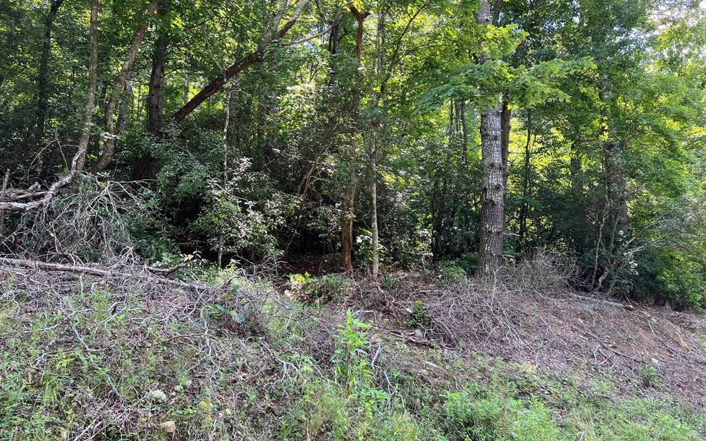 Tr 1 Fires Creek Cove #TR 1, HAYESVILLE, North Carolina image 14