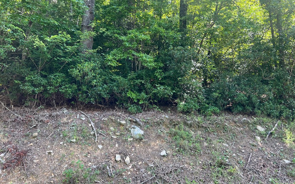 Tr 1 Fires Creek Cove #TR 1, HAYESVILLE, North Carolina image 23