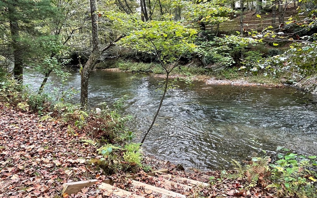 Tr 1 Fires Creek Cove #TR 1, HAYESVILLE, North Carolina image 9