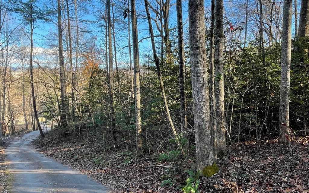 Lot 14 Kilpatrick Point Terrace #14, HAYESVILLE, North Carolina image 2