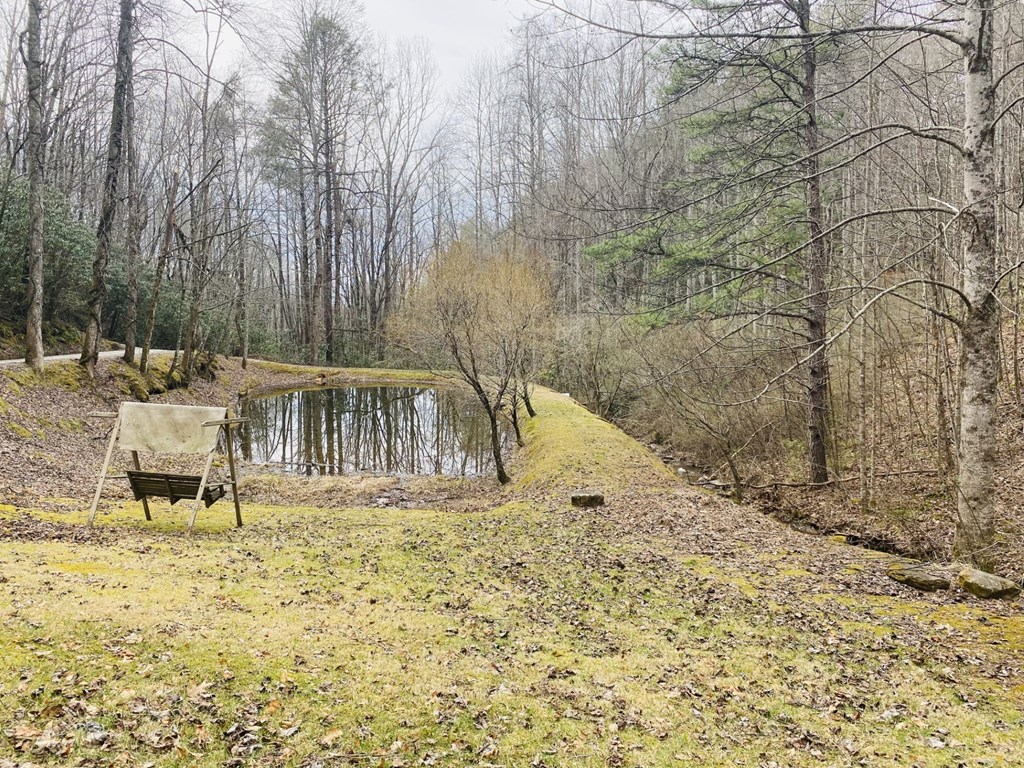 Lot 86 Granny Squirrel Dr #86, ANDREWS, North Carolina image 9