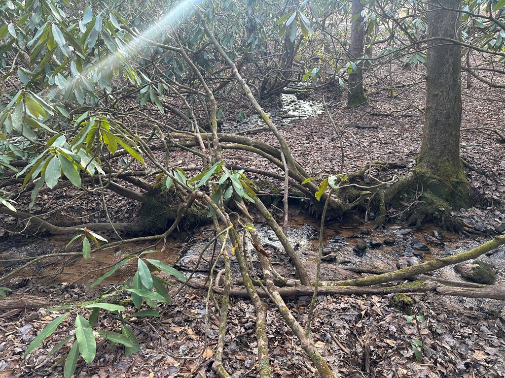 184 Loganberry Ln, HAYESVILLE, North Carolina image 17