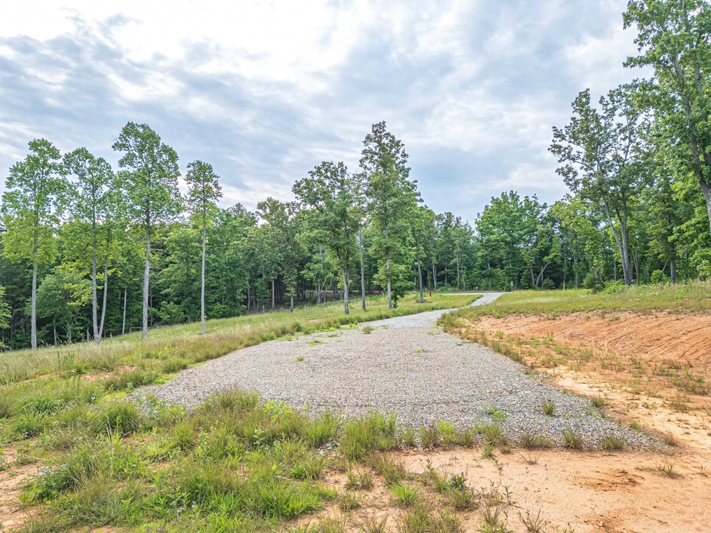 Lot 51 Hidden Harbor #51, BLAIRSVILLE, Georgia image 14