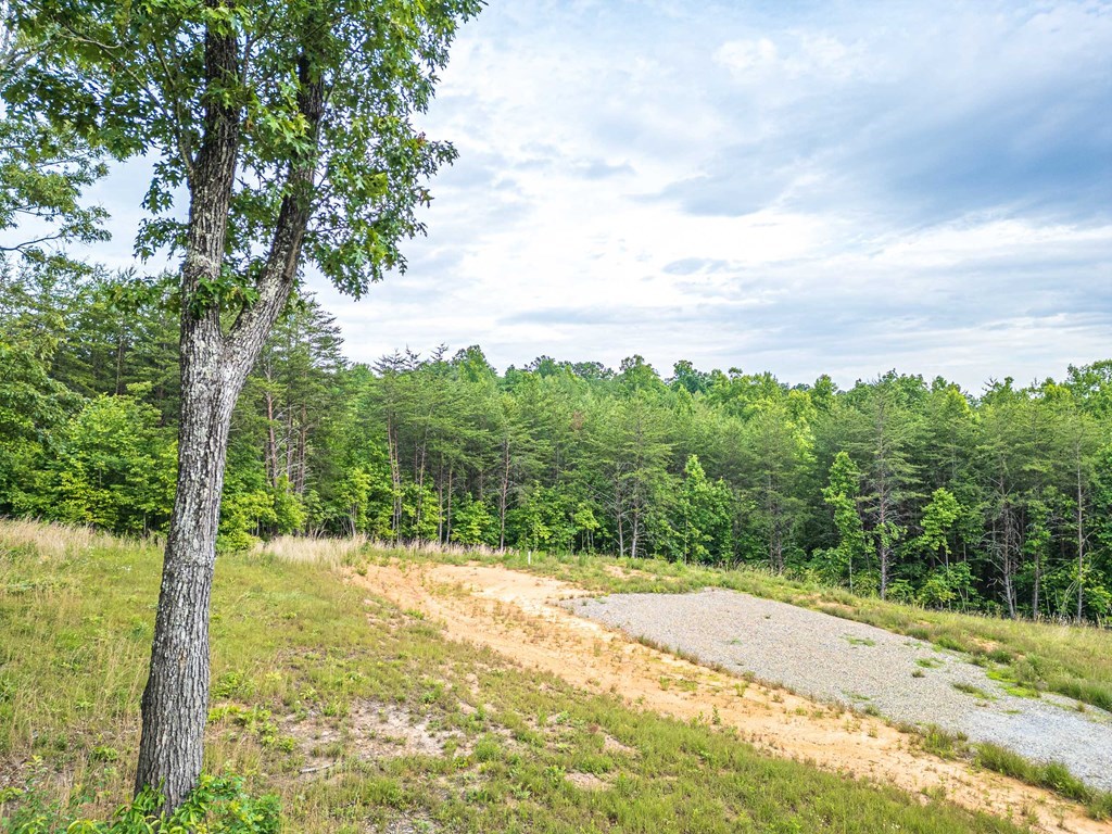 Lot 51 Hidden Harbor #51, BLAIRSVILLE, Georgia image 13