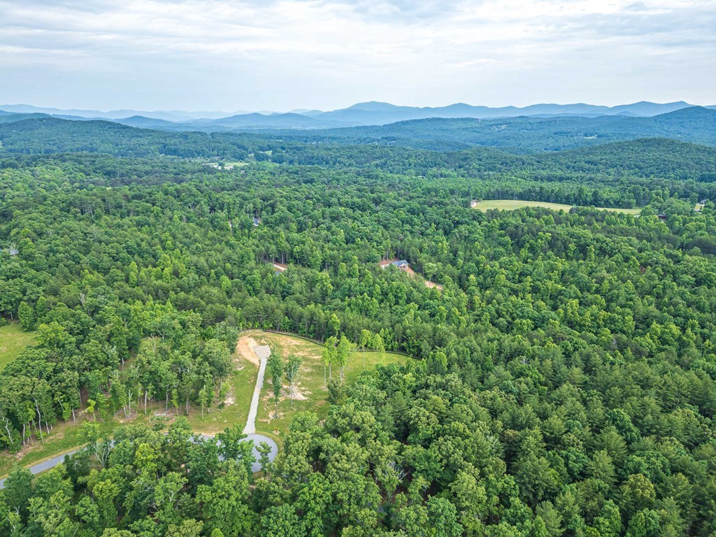 Lot 51 Hidden Harbor #51, BLAIRSVILLE, Georgia image 9