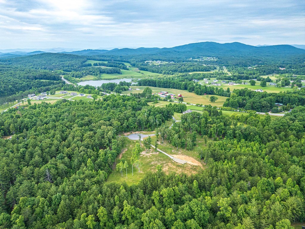 Lot 51 Hidden Harbor #51, BLAIRSVILLE, Georgia image 7