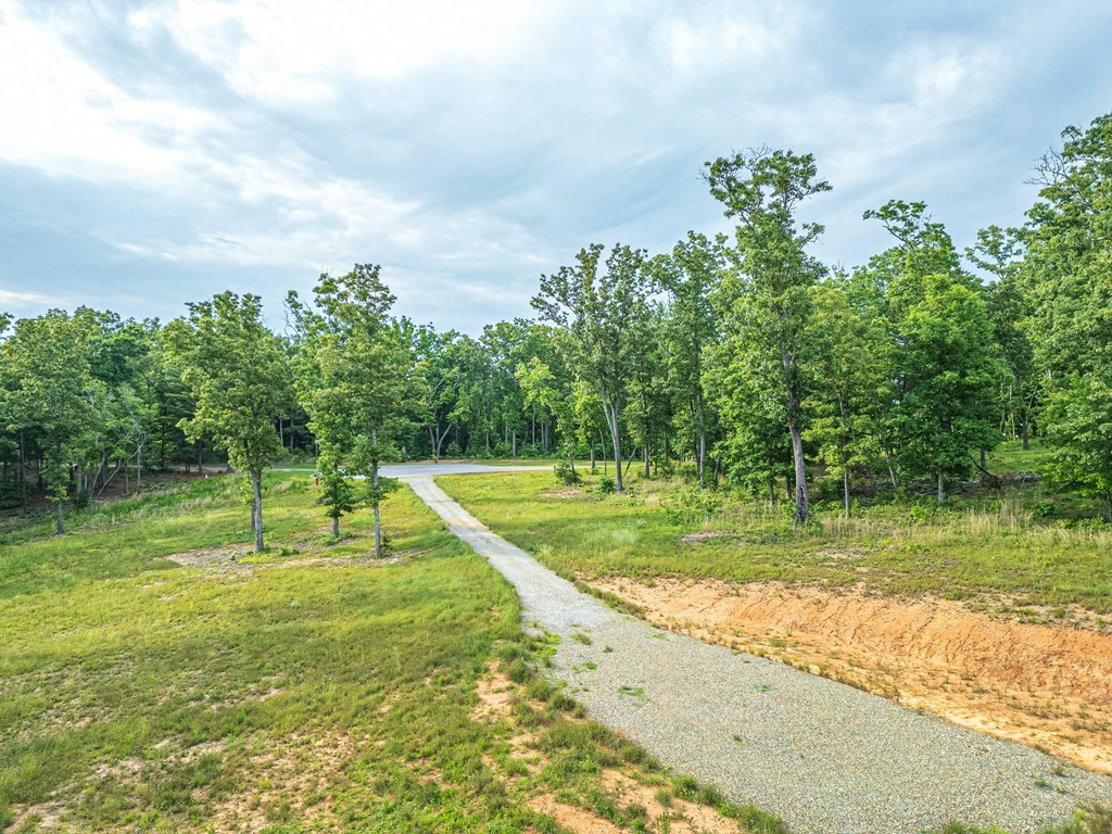 Lot 51 Hidden Harbor #51, BLAIRSVILLE, Georgia image 12