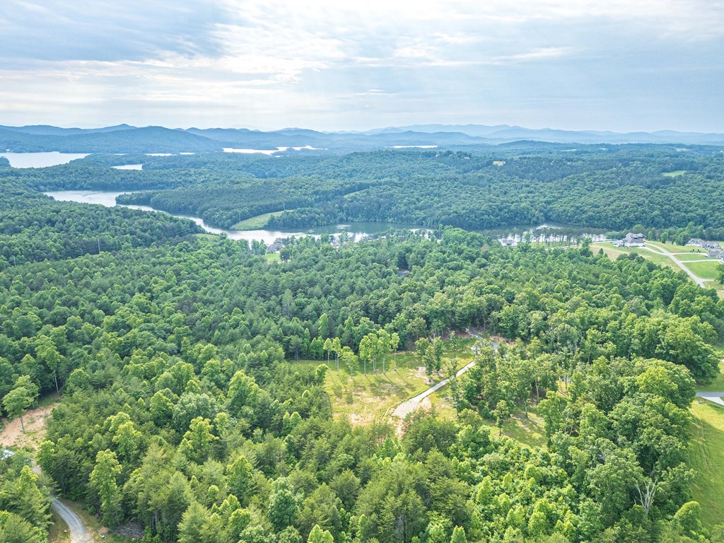 Lot 51 Hidden Harbor #51, BLAIRSVILLE, Georgia image 8