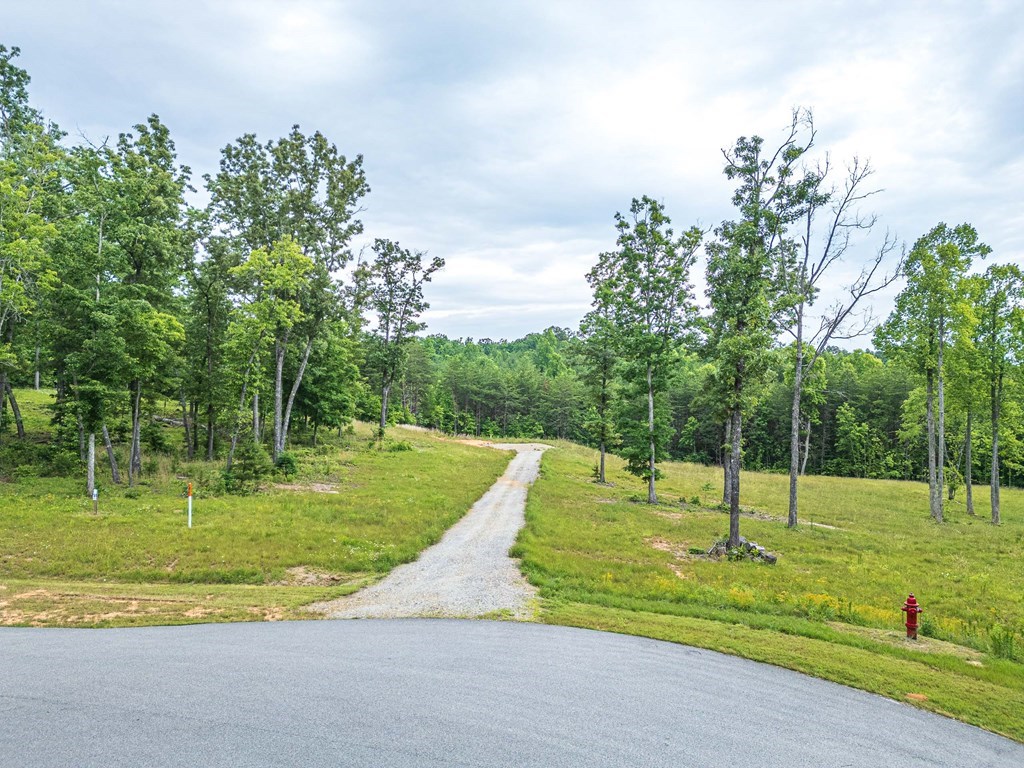 Lot 51 Hidden Harbor #51, BLAIRSVILLE, Georgia image 2